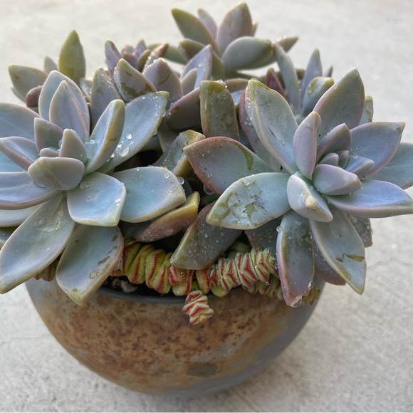 Meet your Posher, Nina - Picture 13 of 13